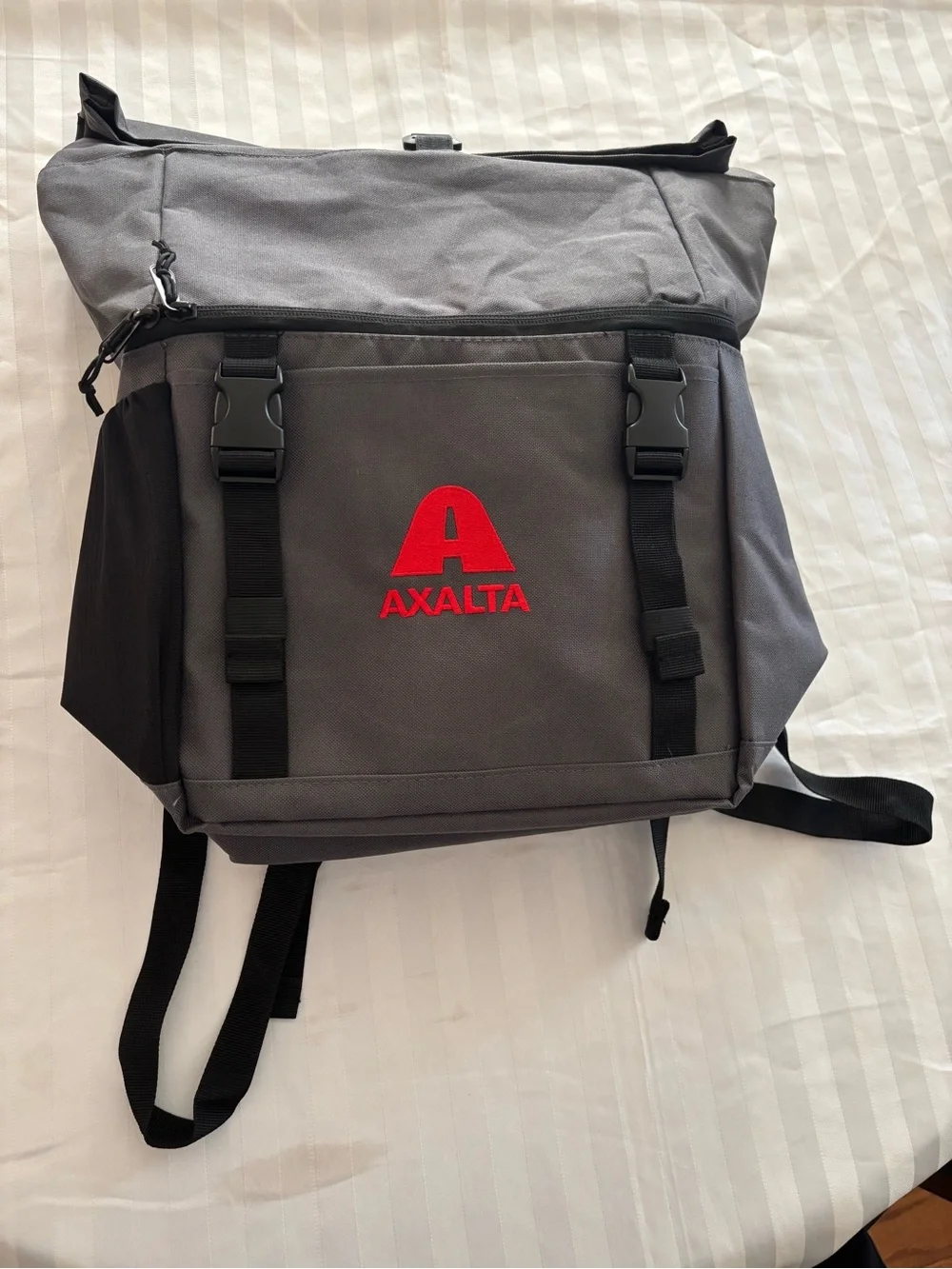 Axalta Gray Foldable Backpack With Two Compartments (NWOT)